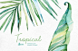 Tropical watercolor leaves by OctopusArtis on Creative Market: 