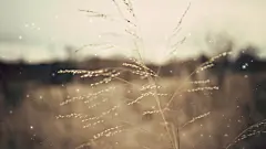 繁星点点lomo风格非主流电脑壁纸桌面墙纸桌面壁纸1