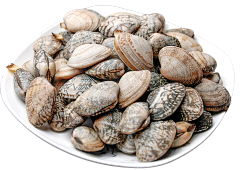 尼兔采集到水果 蔬菜 菜品 肉 海鲜