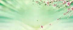清新背景