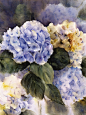 Jeanne Bonine --watercolor paintings