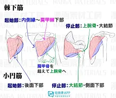 漫画手绘人体怎么画？一步步教你画漫画手绘人体