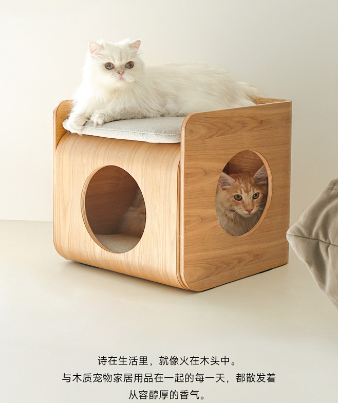 猫窝