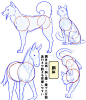 #绘画教程# 动物的画法参考 ​​​​