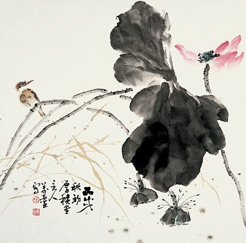 莲落  残荷