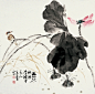 莲落  残荷