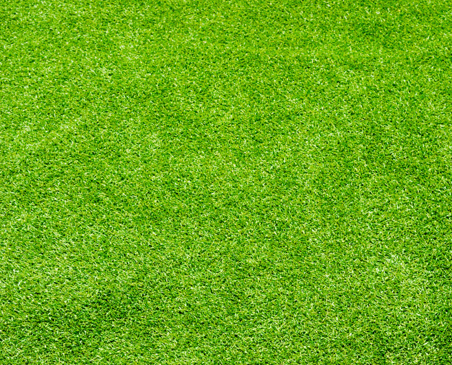 草地青草草坪小草草皮绿草绿草地grass超大