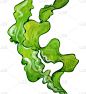 水彩海带海藻