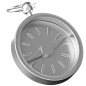 Silver Compass  3D Icon