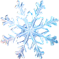 雪花6