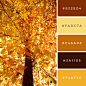 Tree in Fall Color Color Palette #325(56DC9)