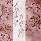 非商仅练习（约稿私信说（加V或Q））
@沽酒七
关注可采集，不可改文案
字：不知
素材：半次元……
美工：@沽酒七
非商仅练习（约稿私信说（加Q：2405727692））