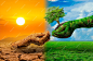 Tree in two hands with very different environments Earth Day or World Environment Day Global Warming and Pollution