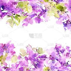 花的框架。Watecolor紫色花朵。婚礼邀请花设计。精美的鲜花贺卡。花的生日贺卡。花的背景。