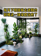 发现有这么好看的入户景观当然要分享给你啦 - 小红书