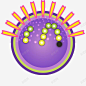紫色细胞分裂 元素 免抠png 设计图片 免费下载 页面网页 平面电商 创意素材
