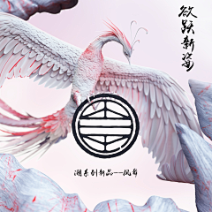 aone丸子采集到李宁溯系列-凤舞