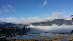 且听雨聆采集到元阳梯田