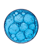 皮氏培养皿,科学,影棚拍摄,洗涤,蓝色_165712106_Blue Soap in Petri Dish_创意图片_Getty Images China