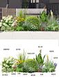 喜欢这样的入户花境吗？|懒人花境 - 小红书