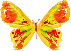 蝴蝶  - 源文件下载【酷图网】蝴蝶,蝴蝶图腾,绚丽蝴蝶,蝴蝶手绘,蝴蝶插画,抽象蝴蝶,创意蝴蝶,蝴蝶名片,蝴蝶手提袋,创意海报,高档蝴蝶,彩色蝴蝶,金蝶,彩蝶,蜕变,蝶变,动物图腾,动物手绘