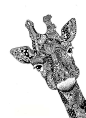 Image detail for -48 notes 22 june 2012 tagged cute giraffe zentangle doodle drawing art ...