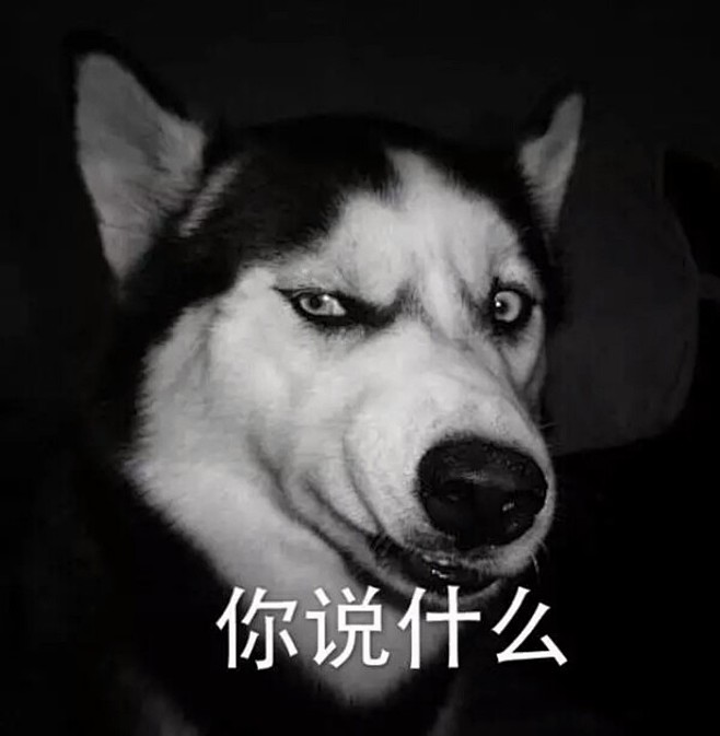 哈士奇的表情包