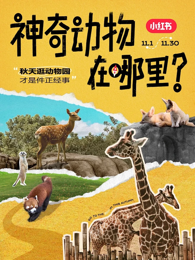 神奇动物在哪里｜趁秋去发现最好的逛动物园