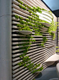 Grassi Pietre idea for planters use fence add boards then have planters stuck in it at various levels and in varying sizes