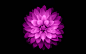 unnamed (1)