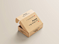 瓦楞纸牛皮纸快递包装盒设计提案样机模板 Mailer Box Mockup