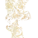 采集图片
