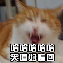 Alin先生采集到表情 搞笑
