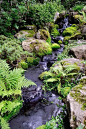 #waterfall #profile #created #garden #stream #unlike #follow #this #link #the #the #see #our #one #theThis waterfall stream is not unlike the one we created in our Garden - follow the link in the profile to see