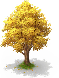 三木神糨采集到植物树木