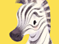 Zebra