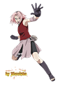 PNG Haruno Sakura by Marcinha20