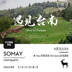 Somay遇见台南PS设计影楼素材时尚艺术中文字体logo海报设计字体#Logo# #经典# #排版# #网页# #素材# #色彩#