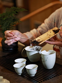 ALL-LIN采集到茶