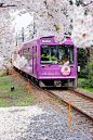 #岛国之美# 极富盛名的樱花电车专线，这里是日本。