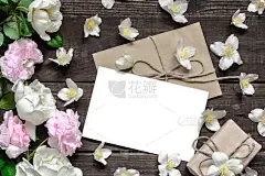 贺卡,边框,白色,茉莉,空白的,玫瑰,粉色,包装纸,花,做