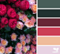 flora palette