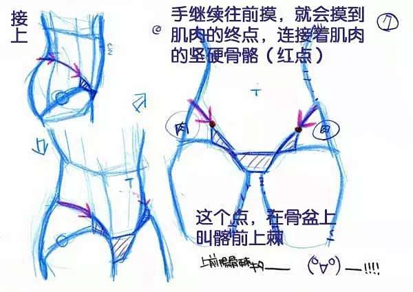 【绘画教材】女生腰部的学习教材1，P站作...