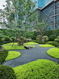 【KKLAout】养眼又高级！有节奏的植物造景