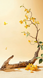 中秋节写实桂花产品背景