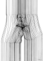<h1>Sensual 3D Line Art by Nester Formentera</h1>