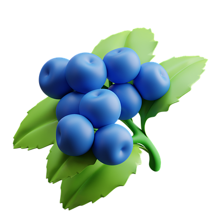 Blueberries 3D Illus...