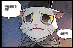不二颜Y采集到猫猫 栗栗子