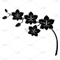 兰花分支