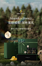 蜜兰达新西兰进口麦卢卡蜂蜜礼盒送礼长辈母亲节礼物滋补野生天然-tmall.com天猫